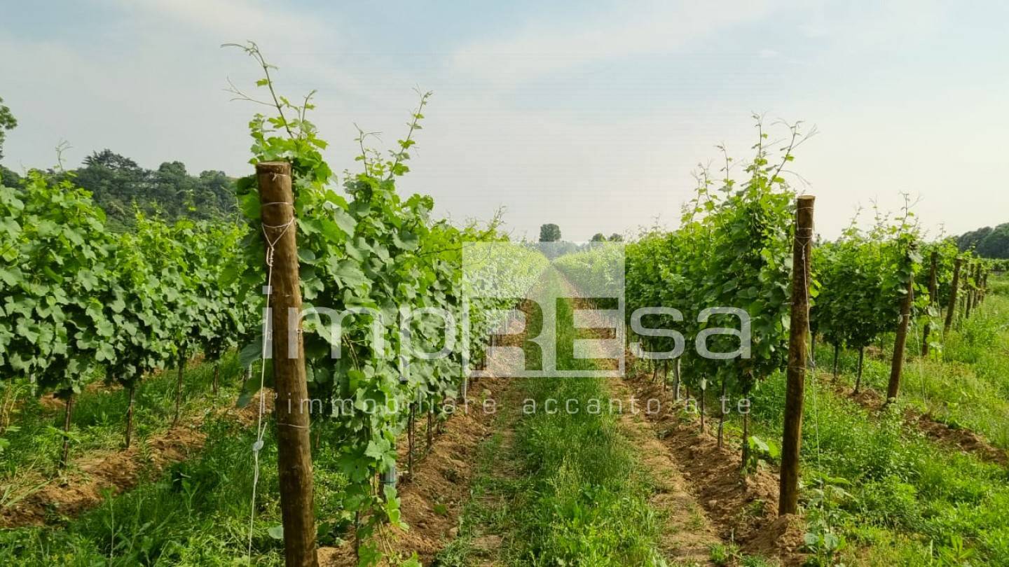 Terreno Agricolo in vendita a Ormelle, Tempio