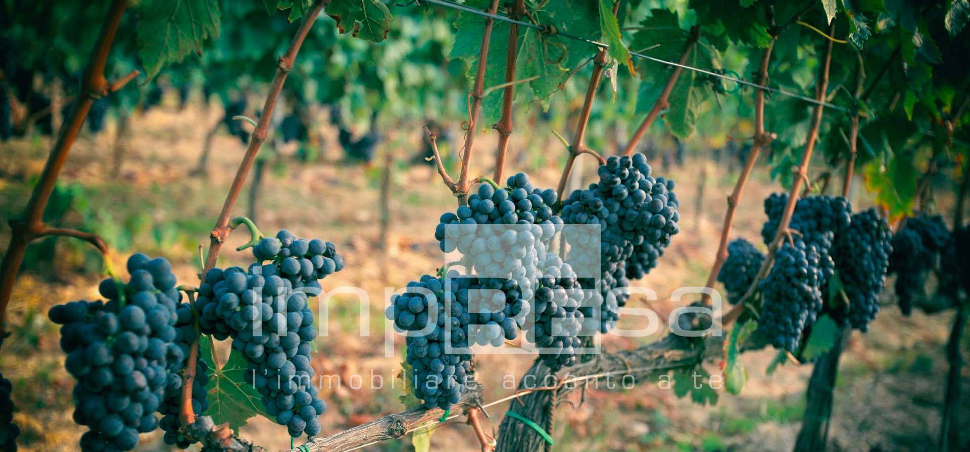 Terreno Agricolo in vendita a Ormelle, Tempio