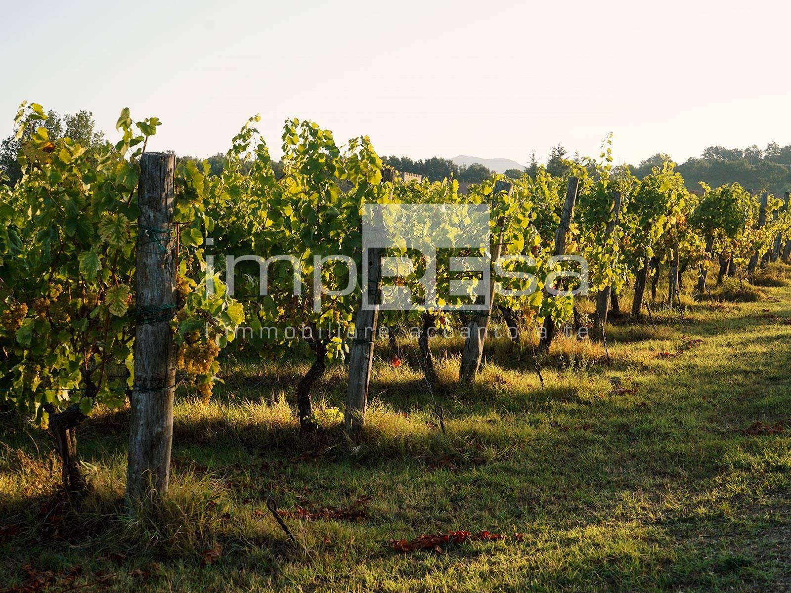 Terreno Agricolo in vendita a Ormelle, Tempio