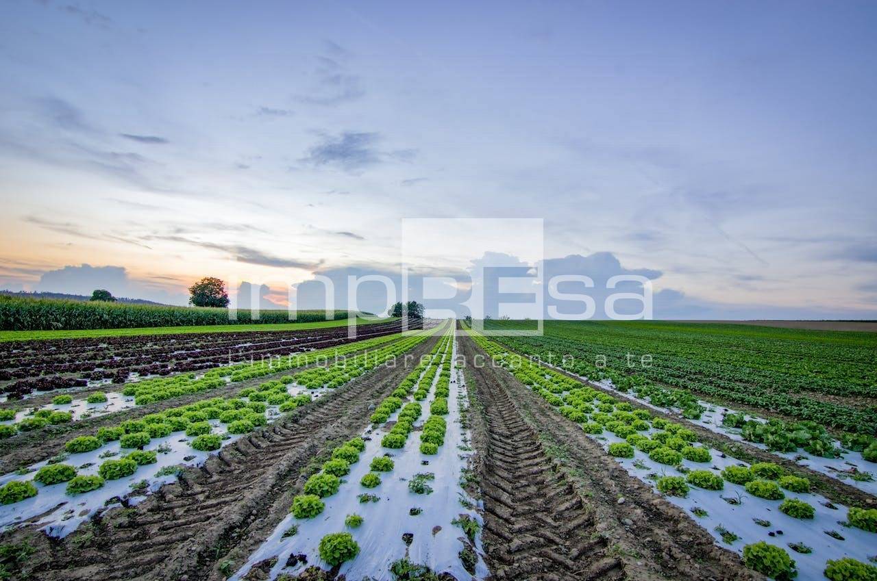 Terreno Agricolo in vendita a Ceggia, Gainiga