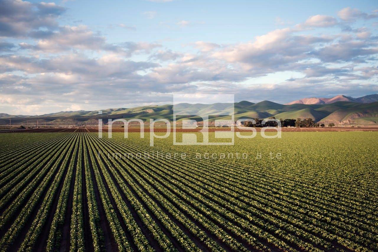 Terreno Agricolo in vendita a Ceggia, Gainiga