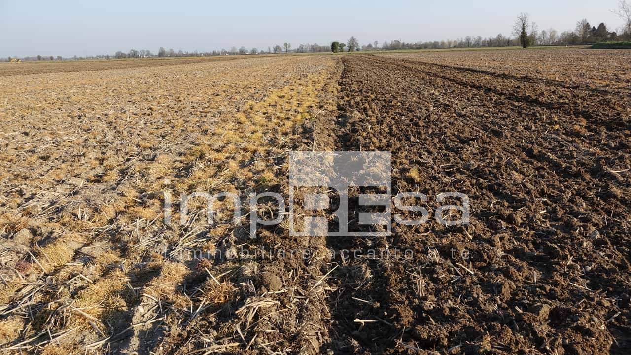 Terreno Agricolo in vendita a Gorgo al Monticano
