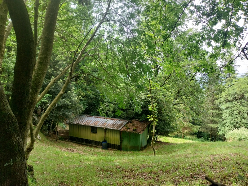 Monolocale con giardino a Camaiore