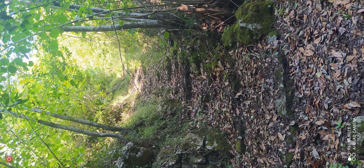 Casa indipendente in vendita a Stazzema