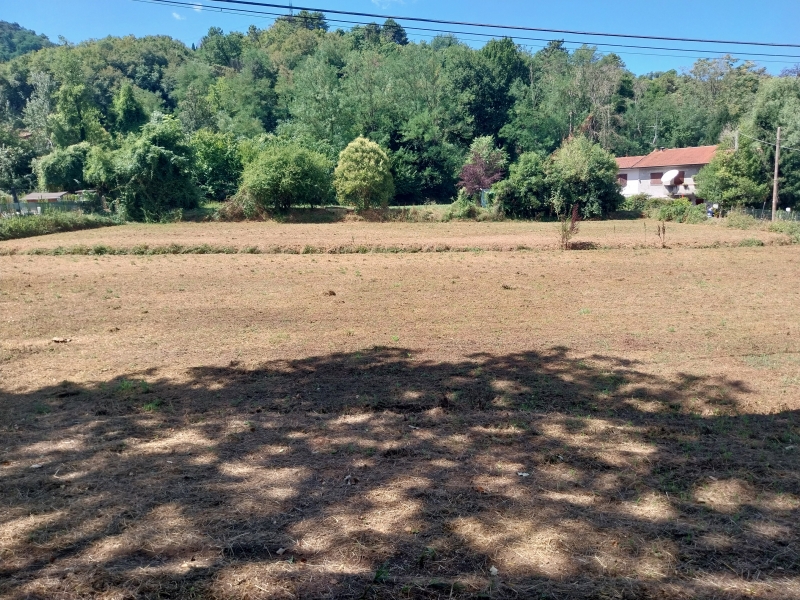 Terreno in vendita a Camaiore