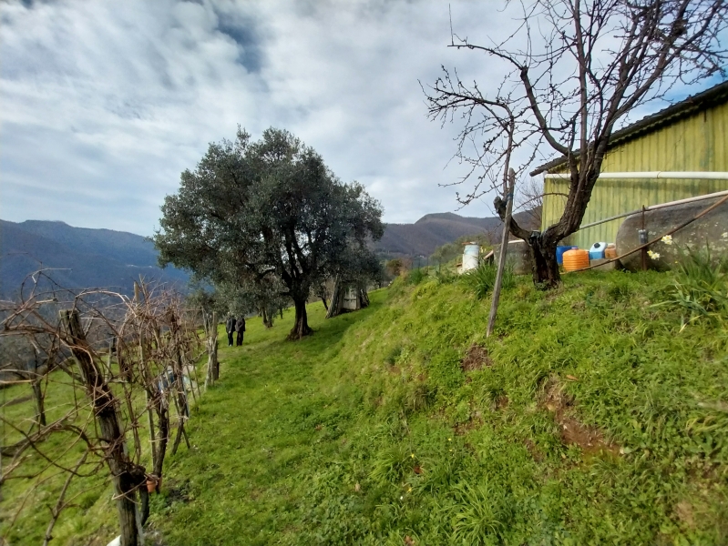 Villa con giardino a Stazzema