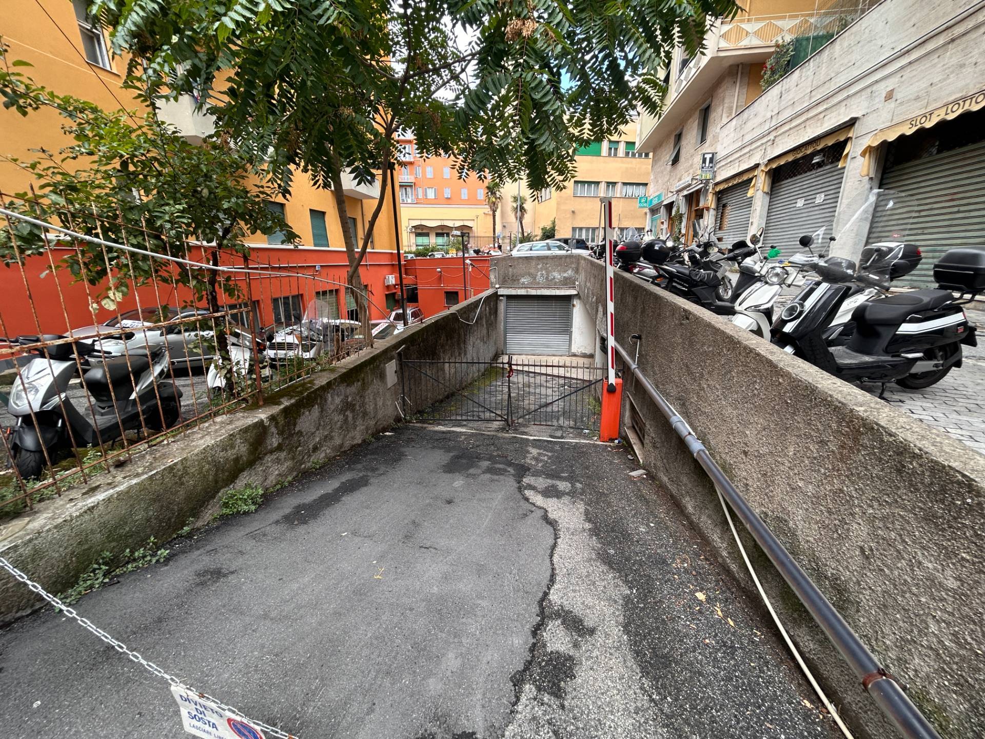 immagine annuncio 5 di 10