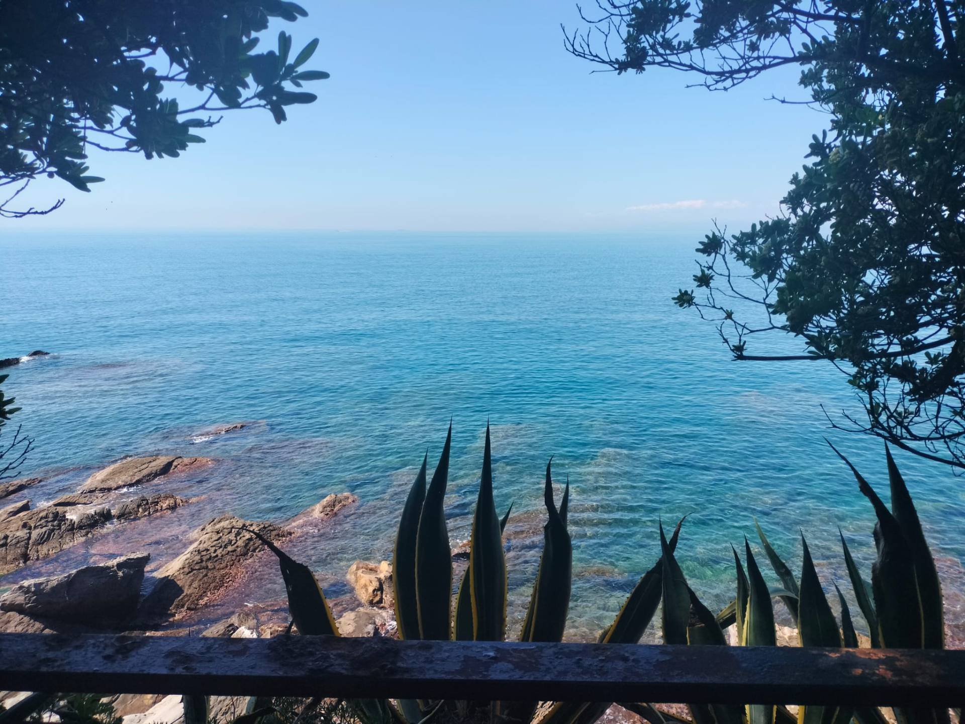 Villa in vendita a Recco