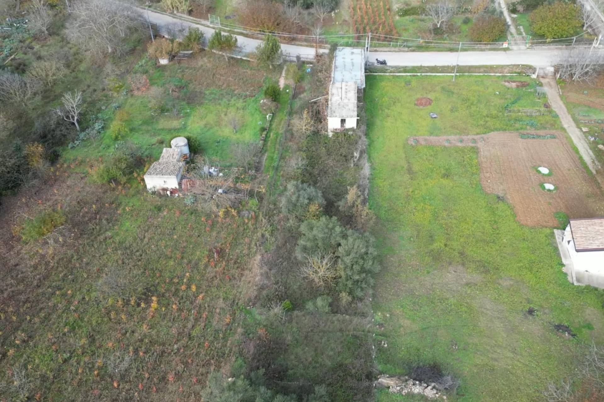 Terreno Agricolo in vendita a Altofonte