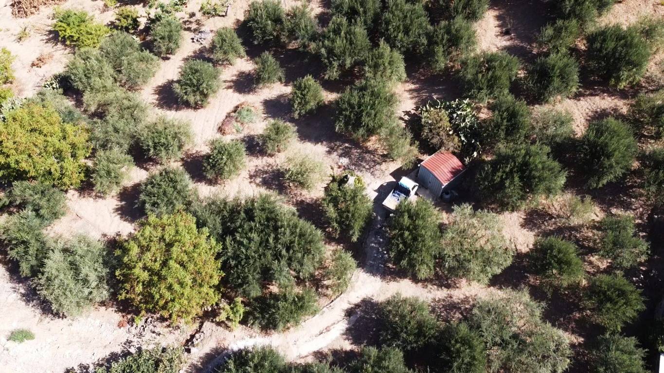Terreno Agricolo in vendita a Altofonte