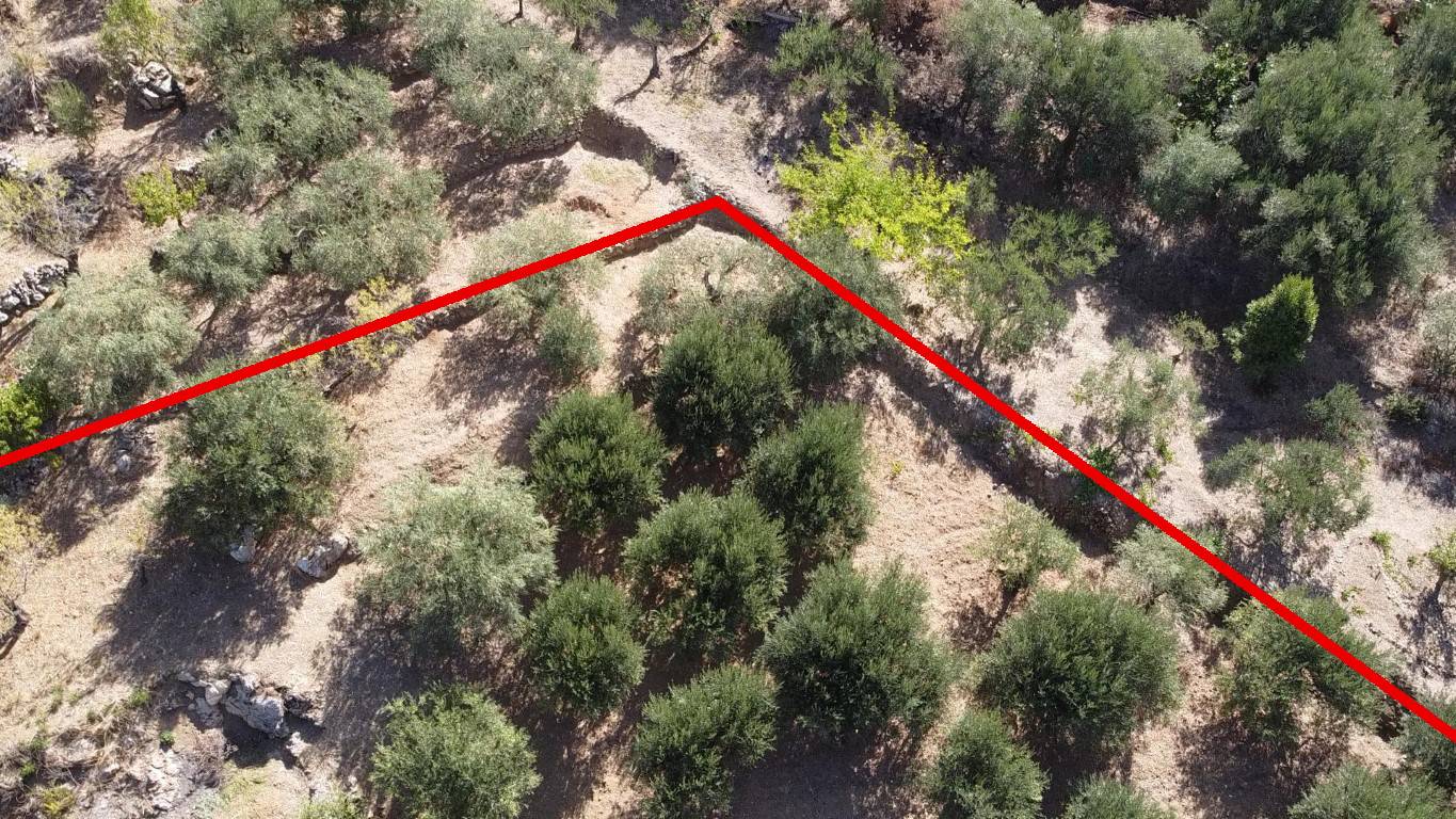 Terreno Agricolo in vendita a Altofonte