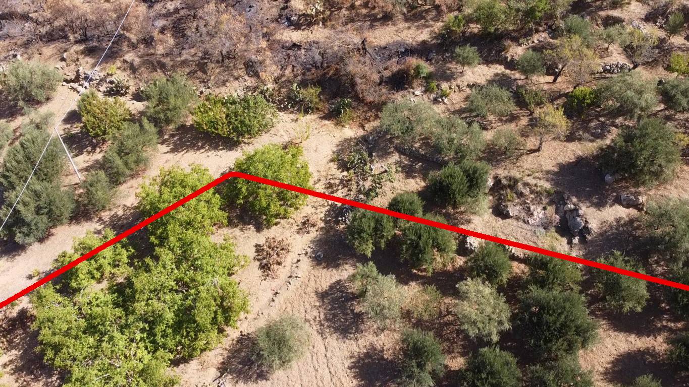 Terreno Agricolo in vendita a Altofonte