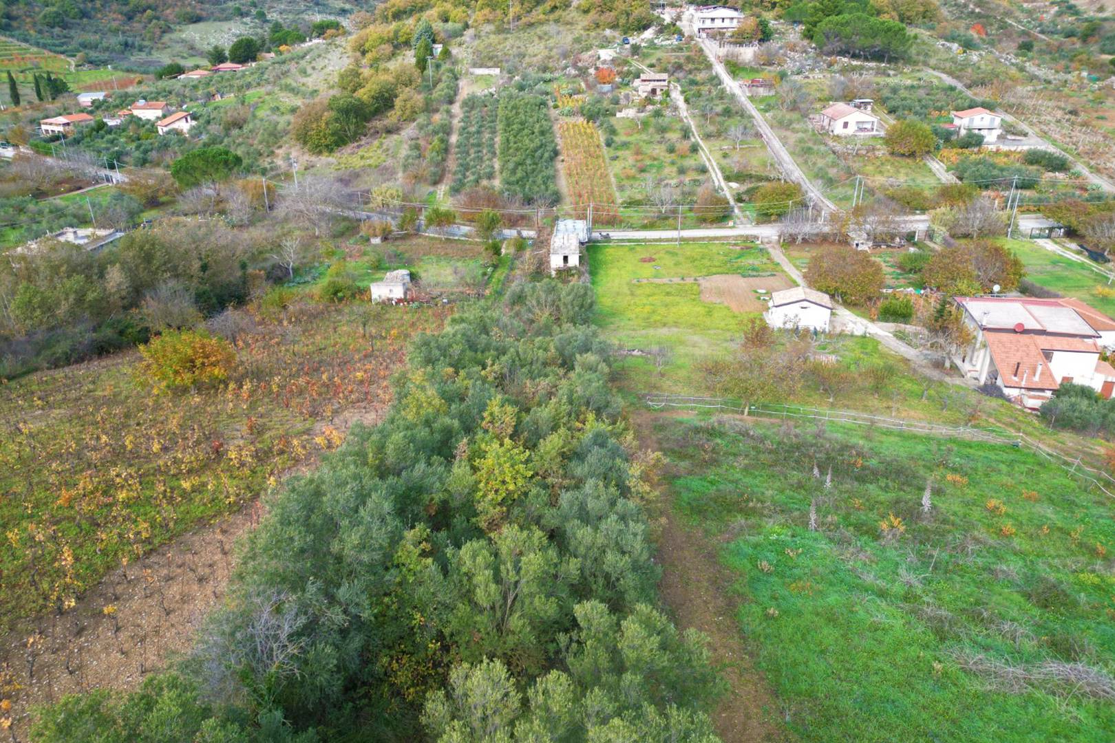 Terreno Agricolo in vendita a Altofonte
