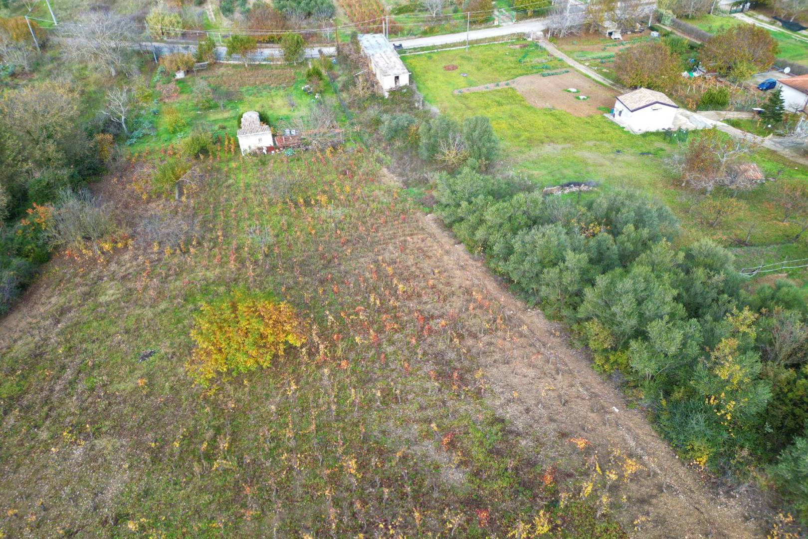 Terreno Agricolo in vendita a Altofonte