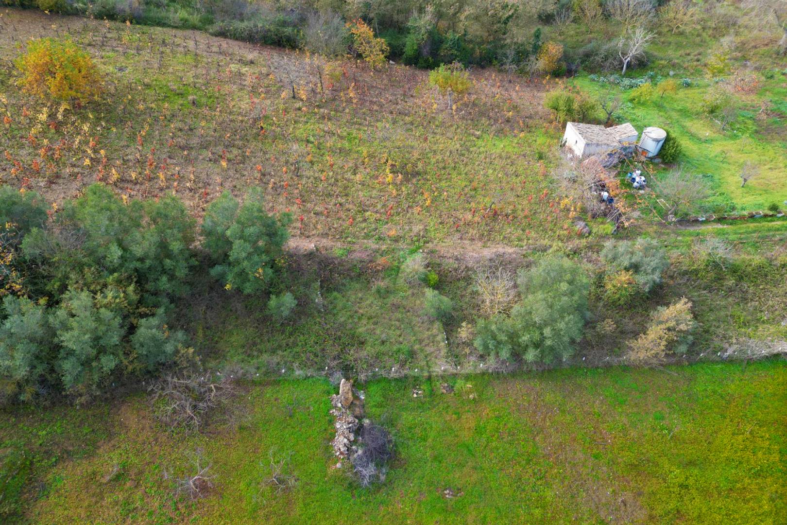 Terreno Agricolo in vendita a Altofonte
