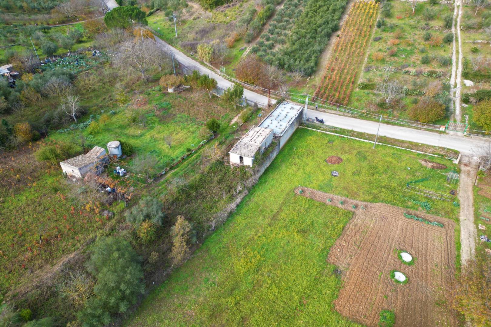 Terreno Agricolo in vendita a Altofonte