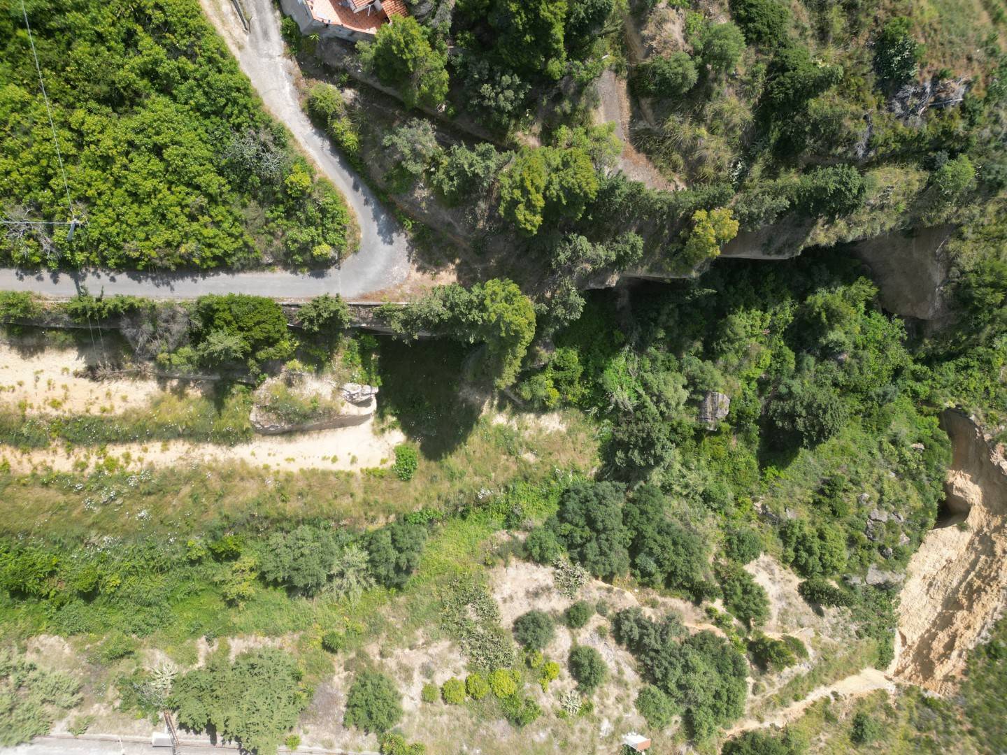Terreno Agricolo in vendita a Altavilla Milicia