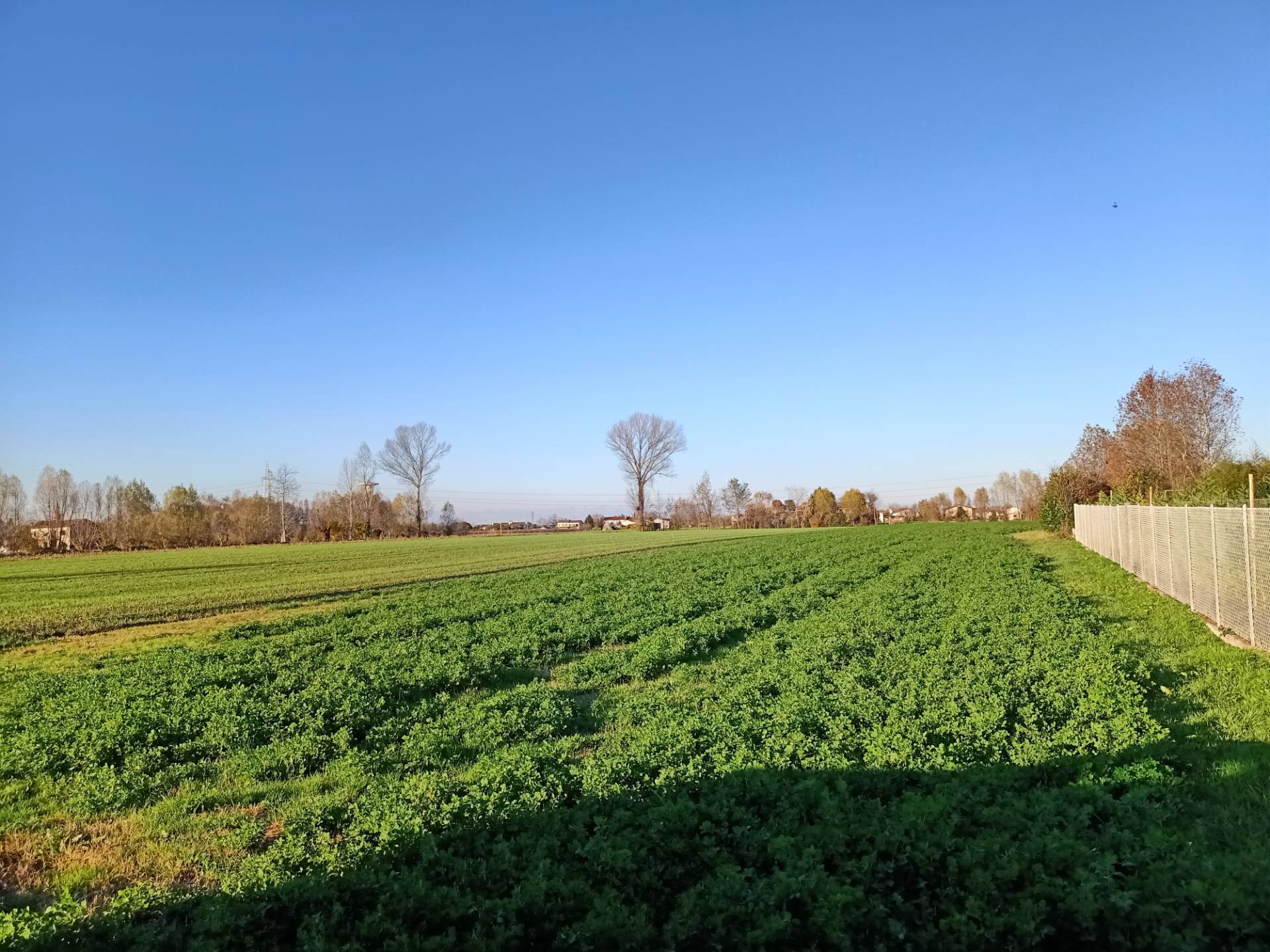 Terreno edificabile in vendita a Mirano, Vetrego