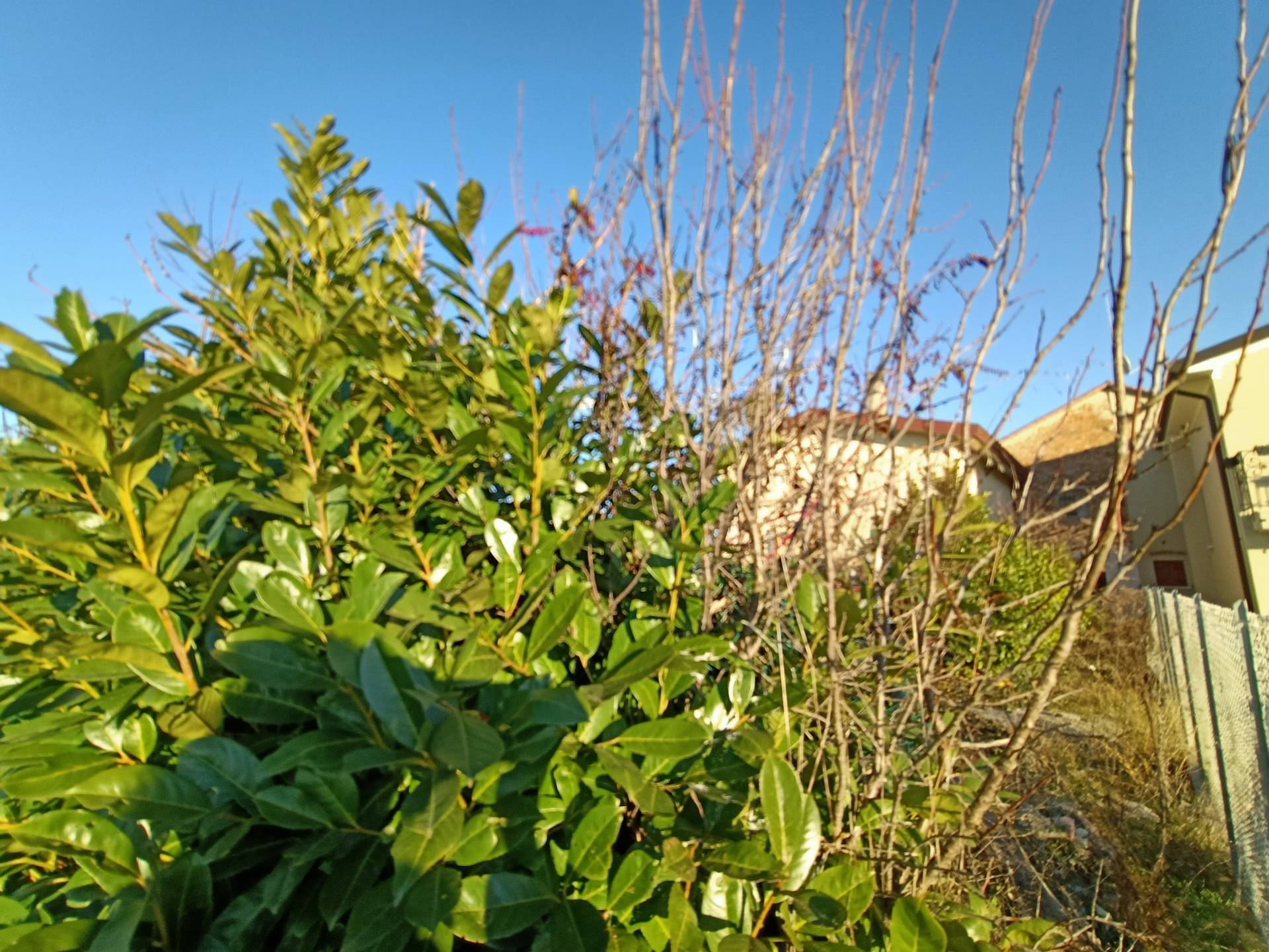 Terreno edificabile in vendita a Mirano, Vetrego