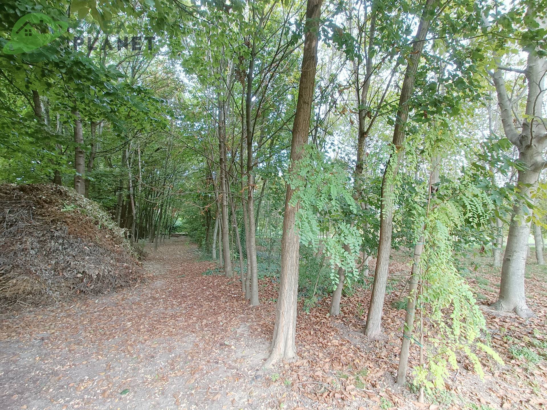 Villa Singola in vendita a Zoppola, Orcenico Inferiore