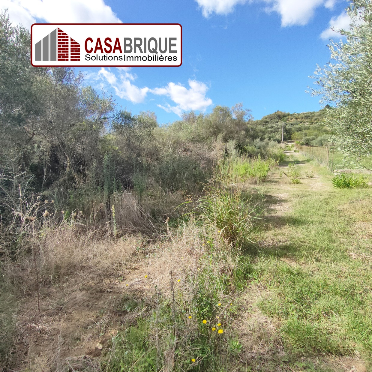 Terreno in vendita a Campofelice di Roccella