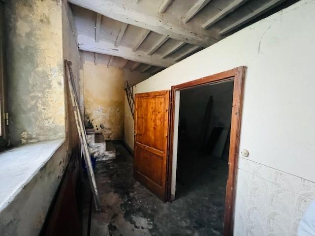 Bilocale con giardino, Montignoso capanne
