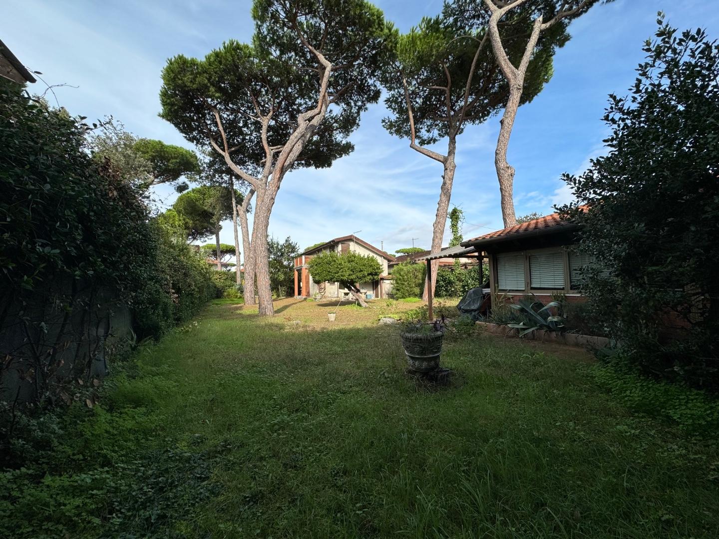 immagine annuncio 4 di 6