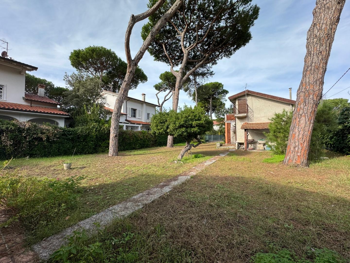immagine annuncio 5 di 6