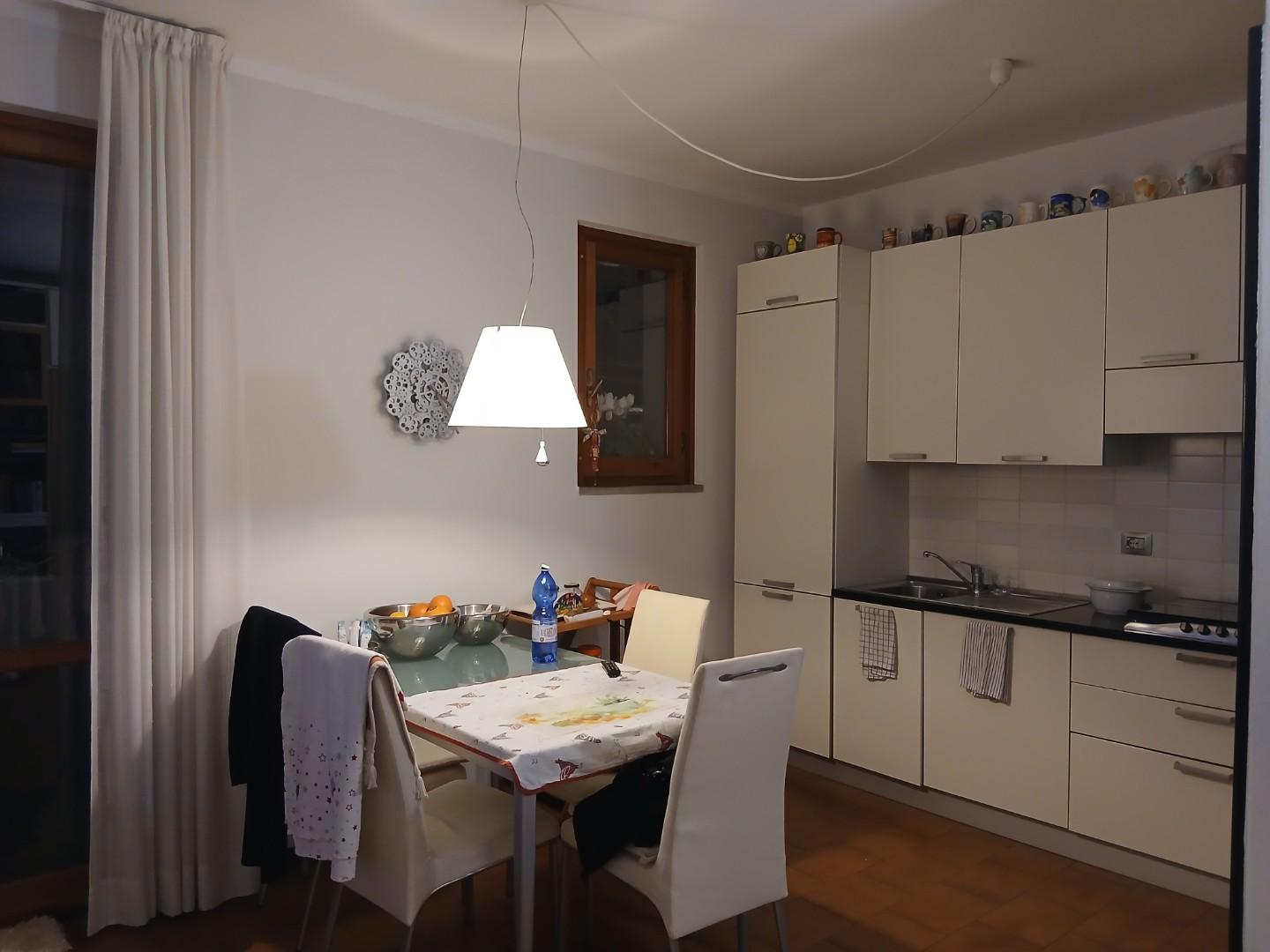 Quadrilocale con giardino a Massa