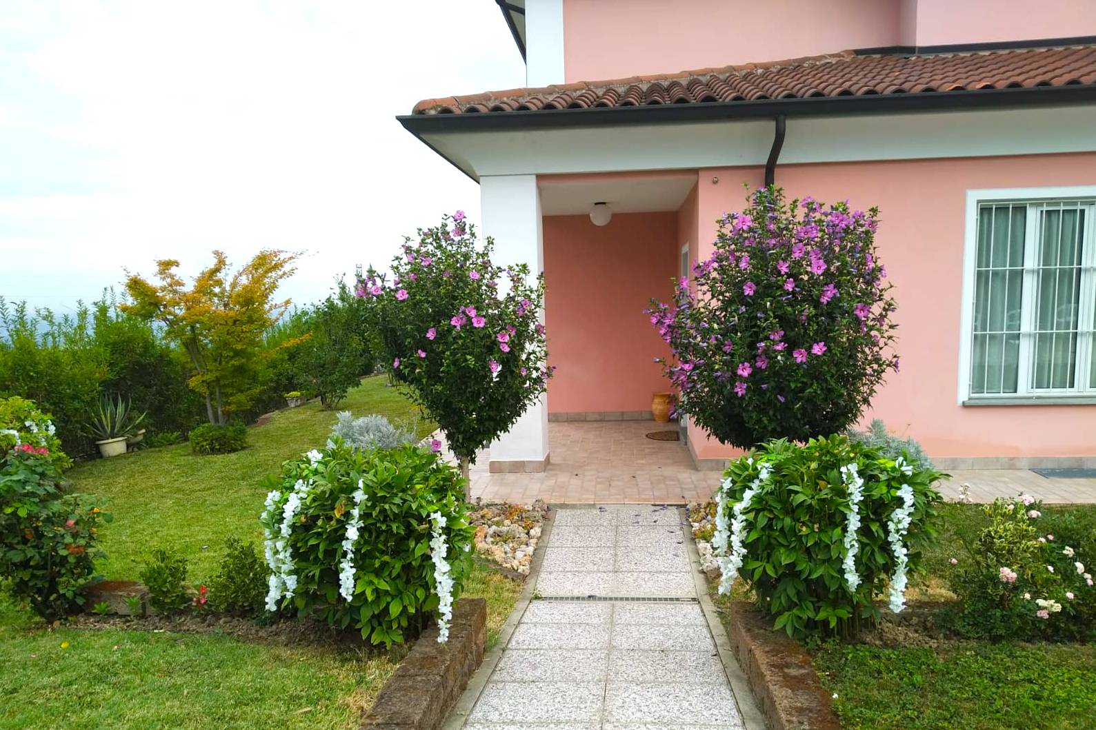 immagine annuncio 4 di 6