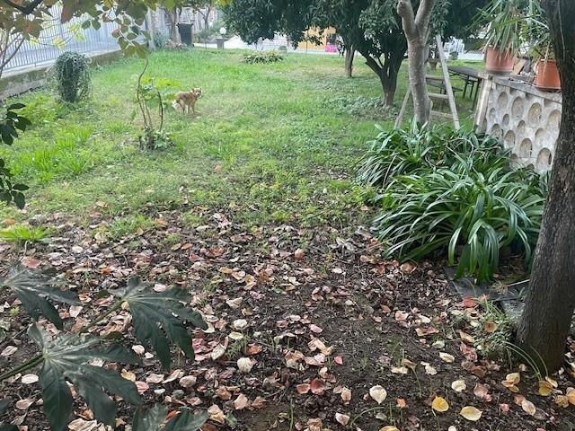 Villa Bifamiliare con giardino, Carrara avenza