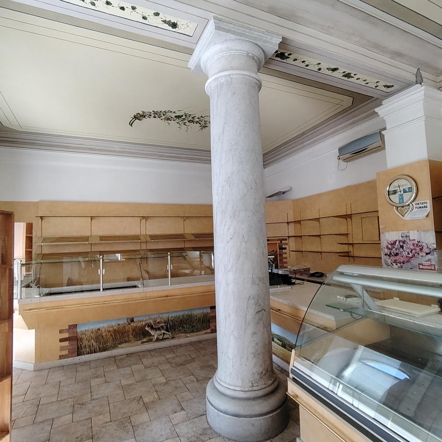 Locale commerciale in affitto a Carrara