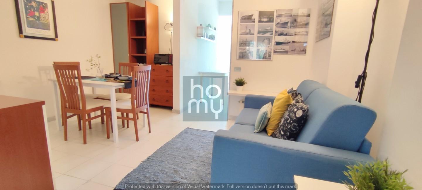 Loft arredato in affitto, Ameglia piano di