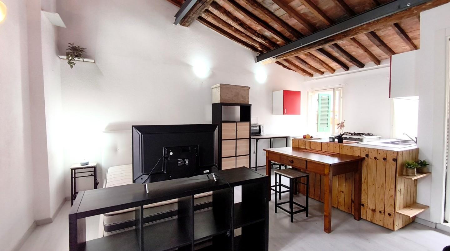 Monolocale arredato in affitto, Carrara centro