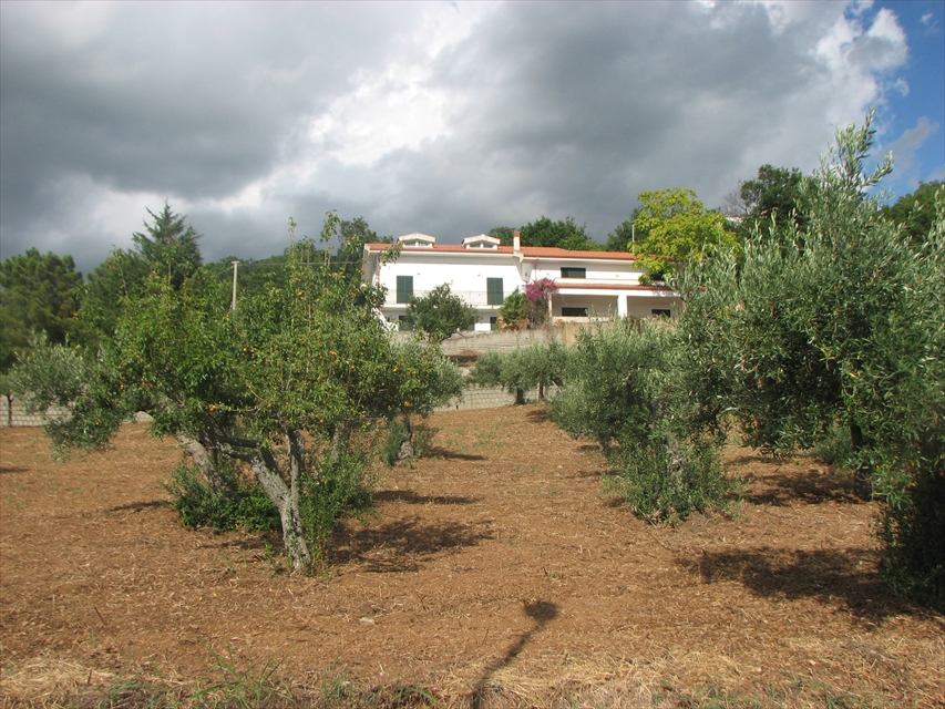 Casa indipendente con giardino in c.da tarife croce snc, Longobardi