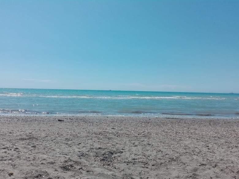 Bilocale in vendita, Rosignano Marittimo castiglioncello