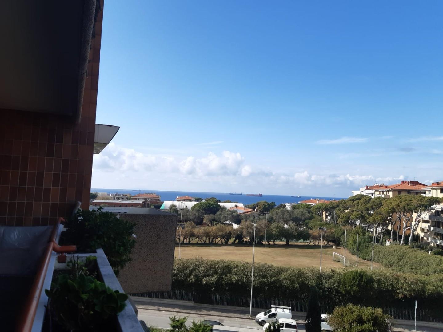 Bilocale arredato in affitto, Livorno banditella