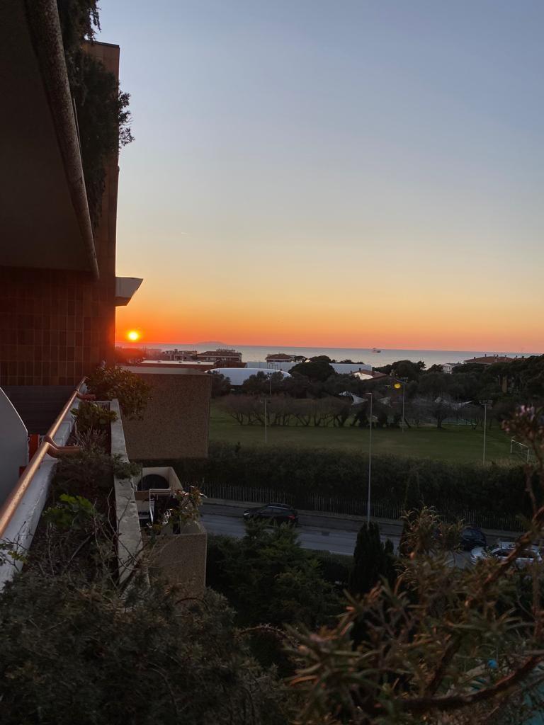 Bilocale arredato in affitto, Livorno banditella