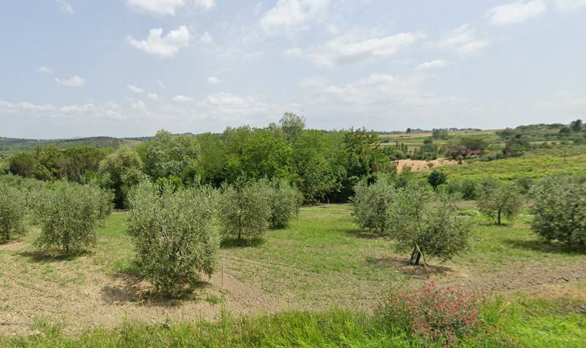 Quadrilocale con terrazzo, Bientina puntone