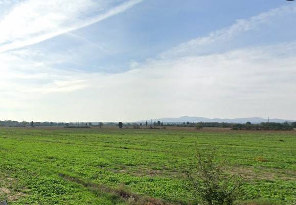 Aste residenziali appartamenti in vendita a Monteverdi Marittimo