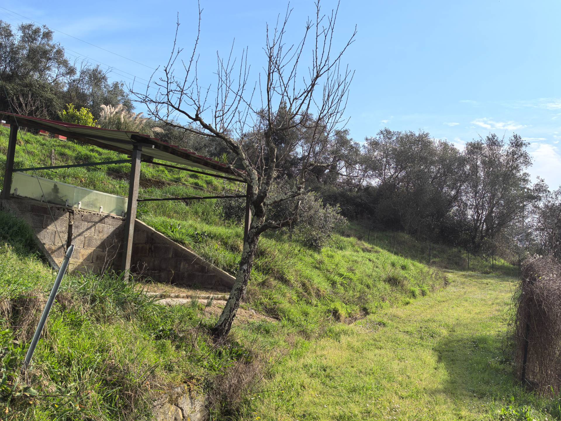 casa indipendente in vendita a Buti, Cascine