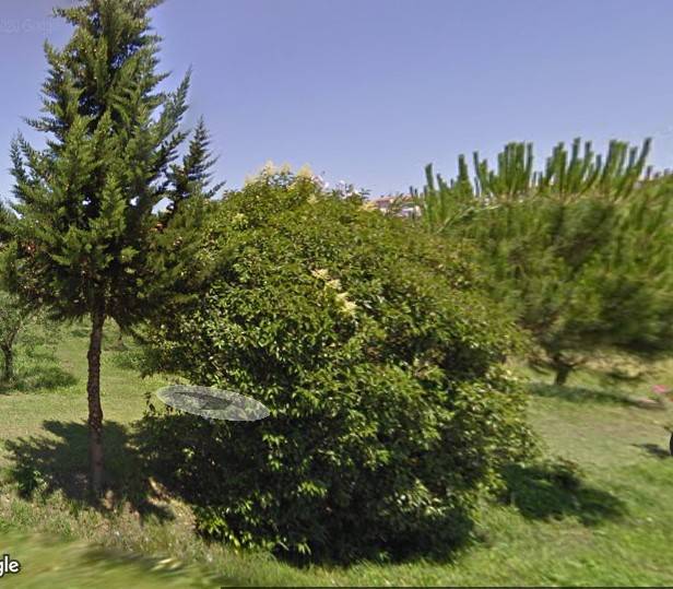 fondo artigianale in affitto a Vicopisano, San Giovanni alla Vena