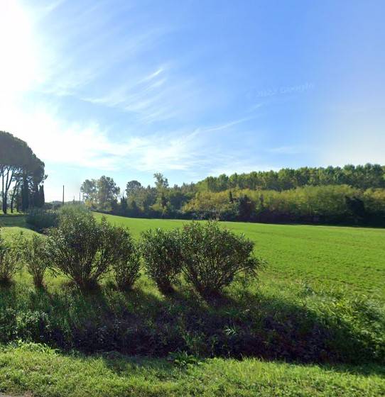 Aste residenziali appartamenti in vendita a Capannoli