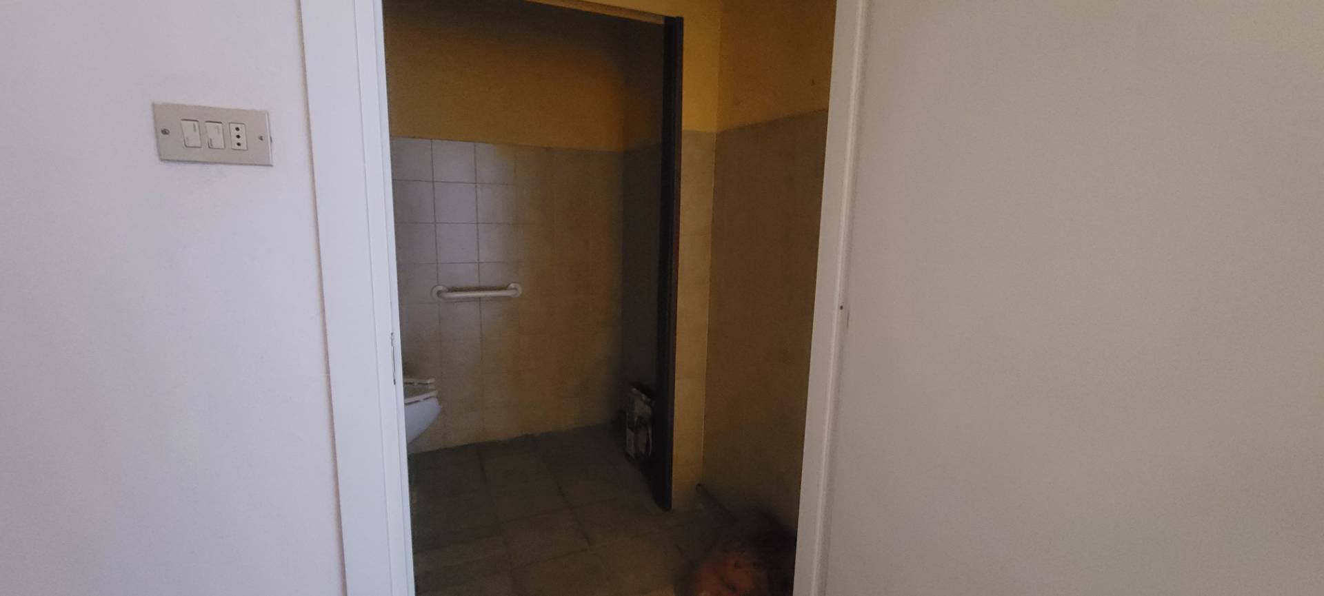 Studio/Ufficio in affitto a Pontedera, La Bellaria