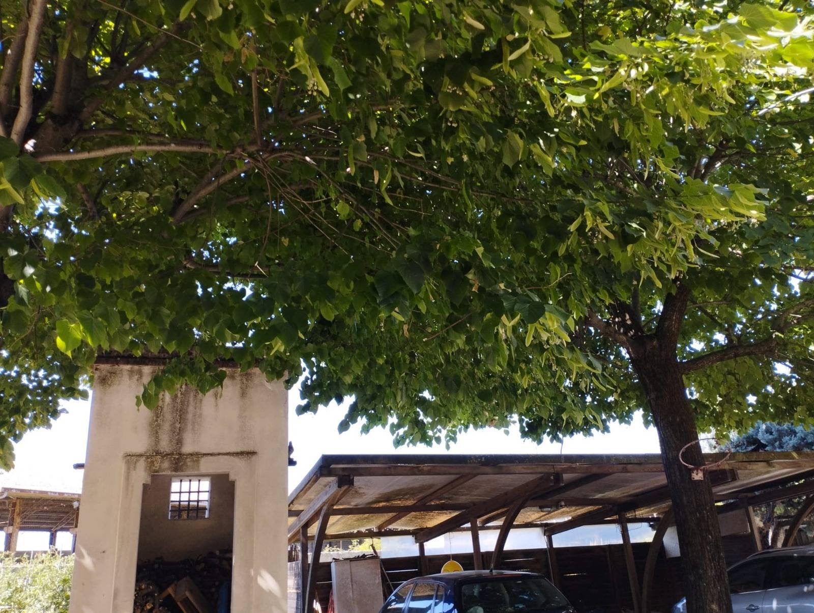 Villa in vendita a San Miniato