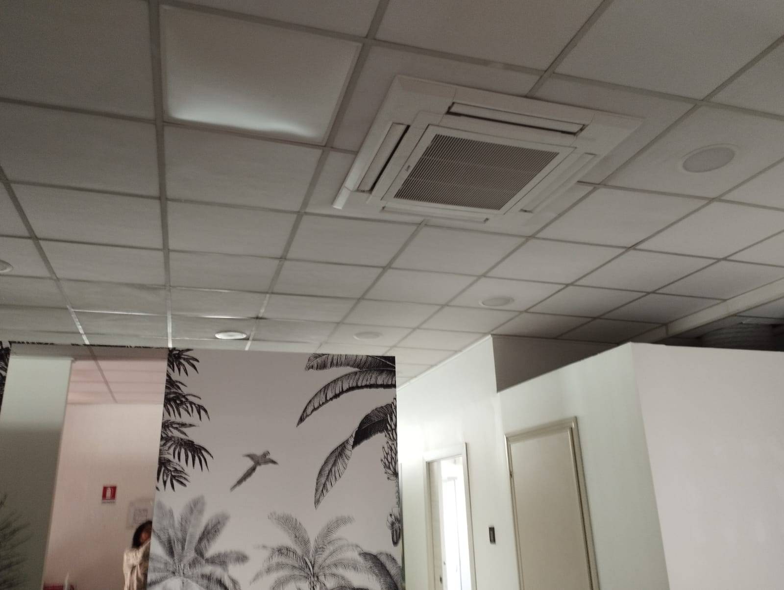 fondo artigianale in affitto a Pontedera, Pietroconti Braccini