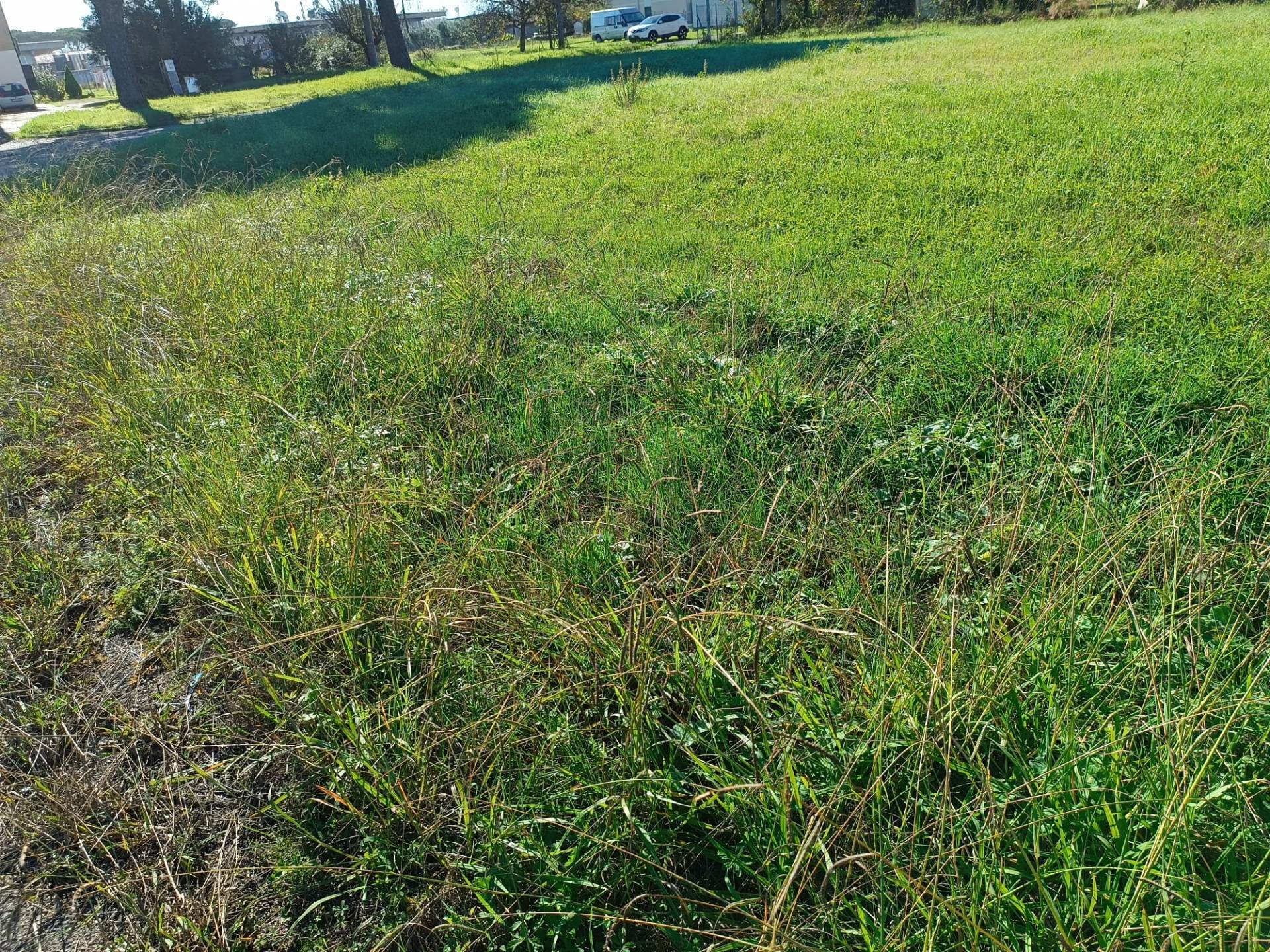 Terreno edificabile in vendita a Castelfranco di Sotto