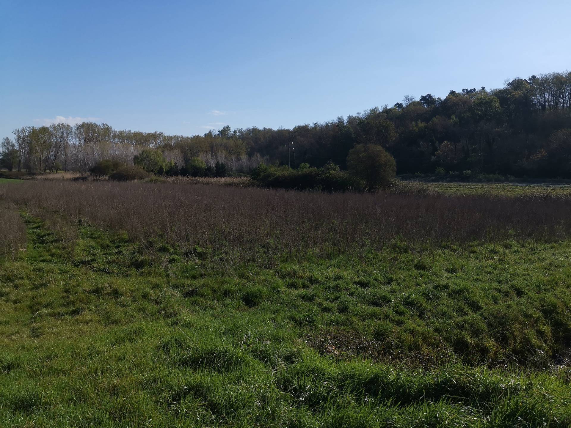 Terreno Agricolo in vendita a Bientina, Puntone