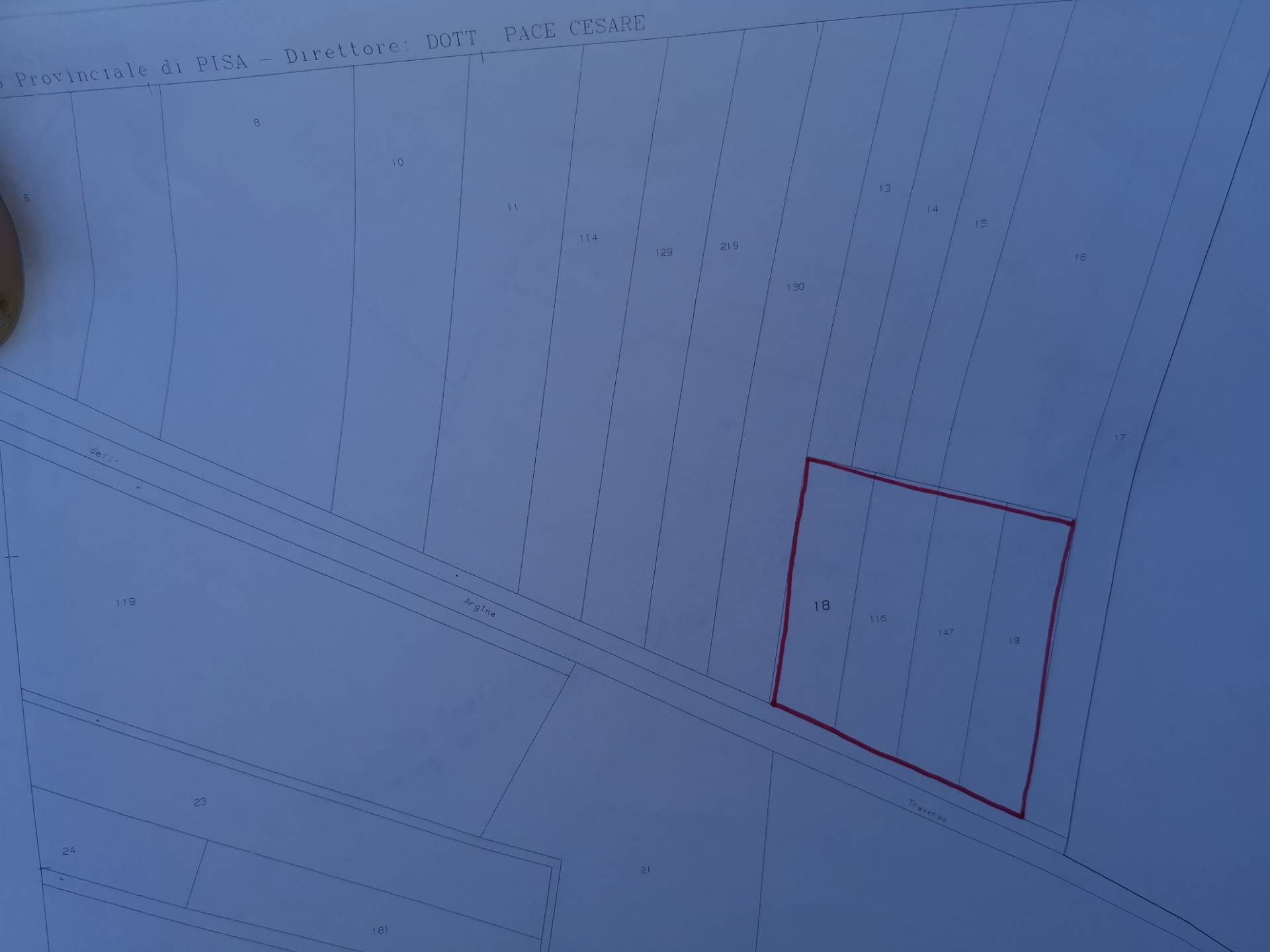 Terreno Agricolo in vendita a Bientina, Puntone