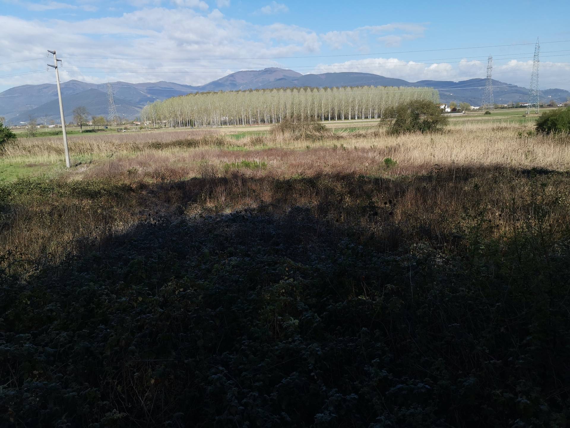 Terreno Agricolo in vendita a Bientina, Puntone